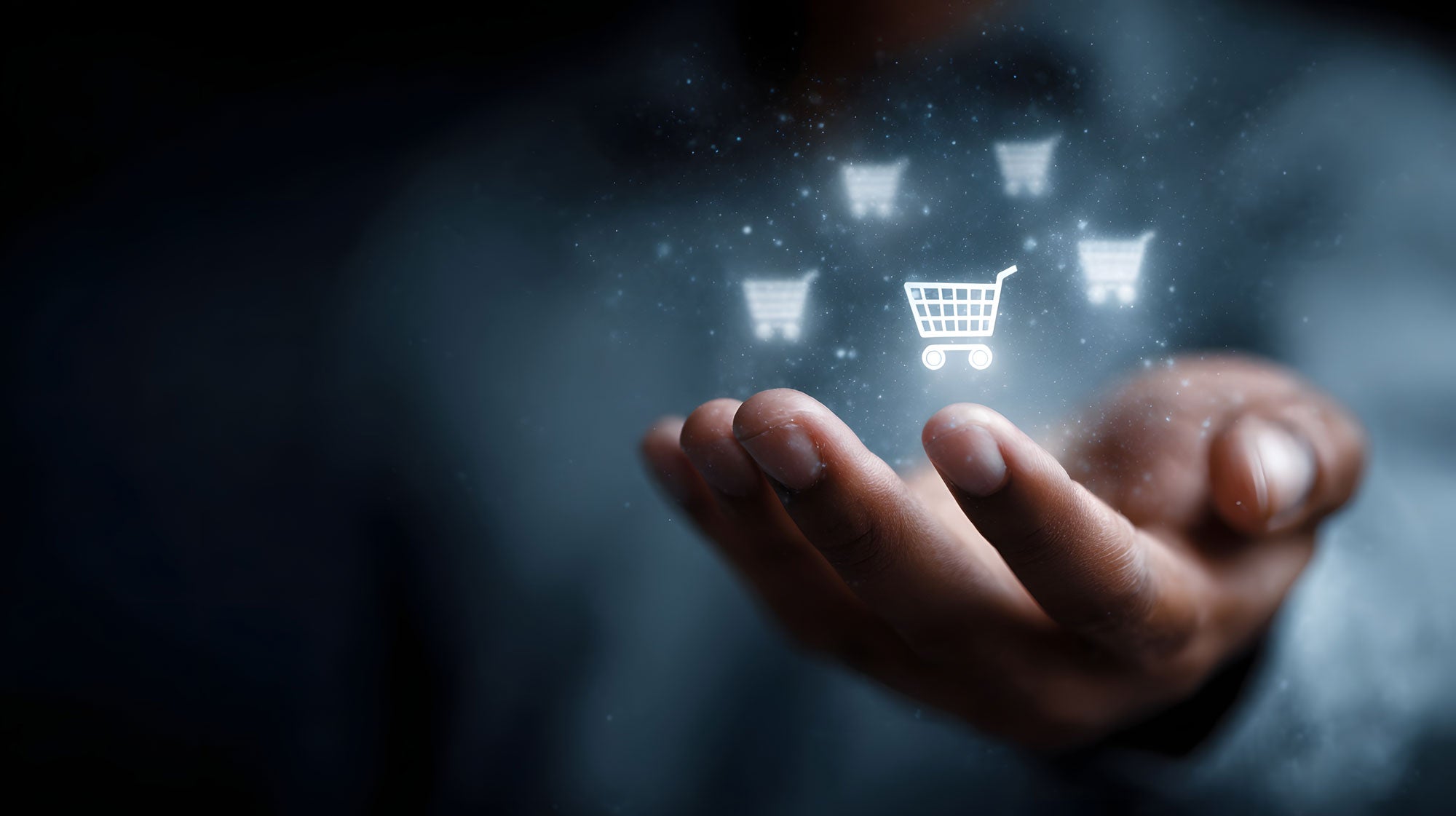 e-catalogue France Sécurité