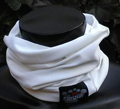 S119009 - France Sécurité Image 1